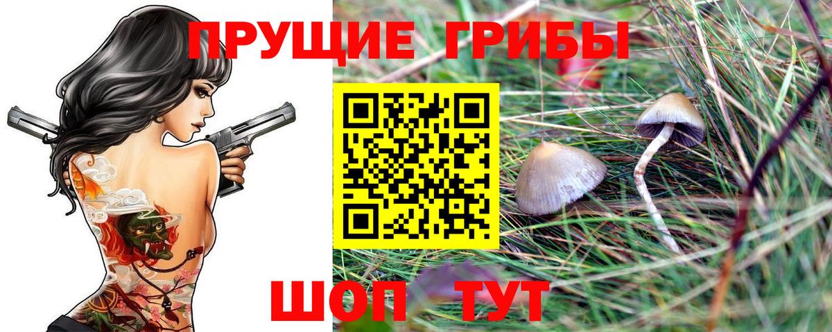 Галлюциногенные грибы GOLDEN TEACHER  Вход с VPN  Галлюциногенные грибы Psilocybine cubensis  Златоуст 